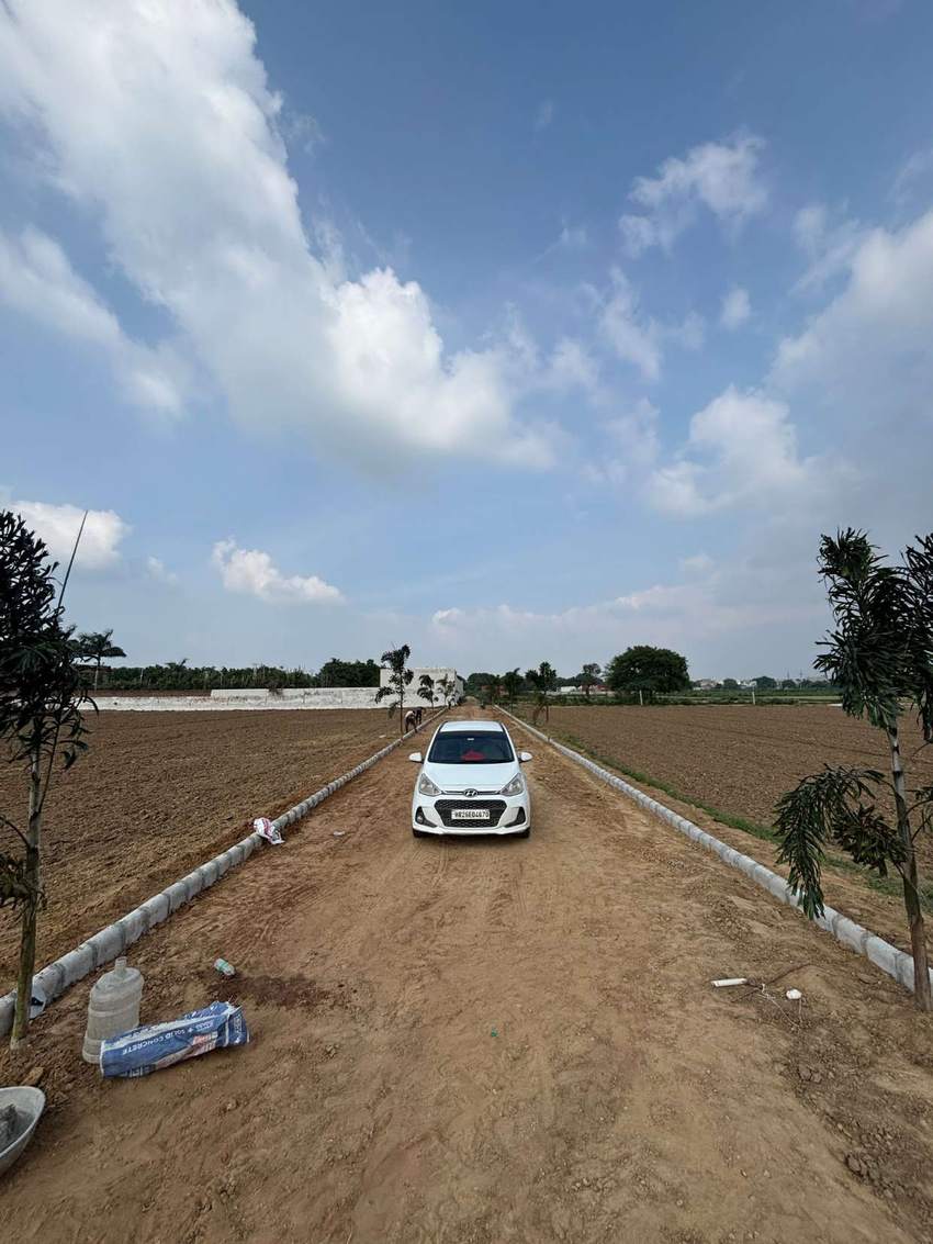 Development in progress — kerbed access road and planted boundaries